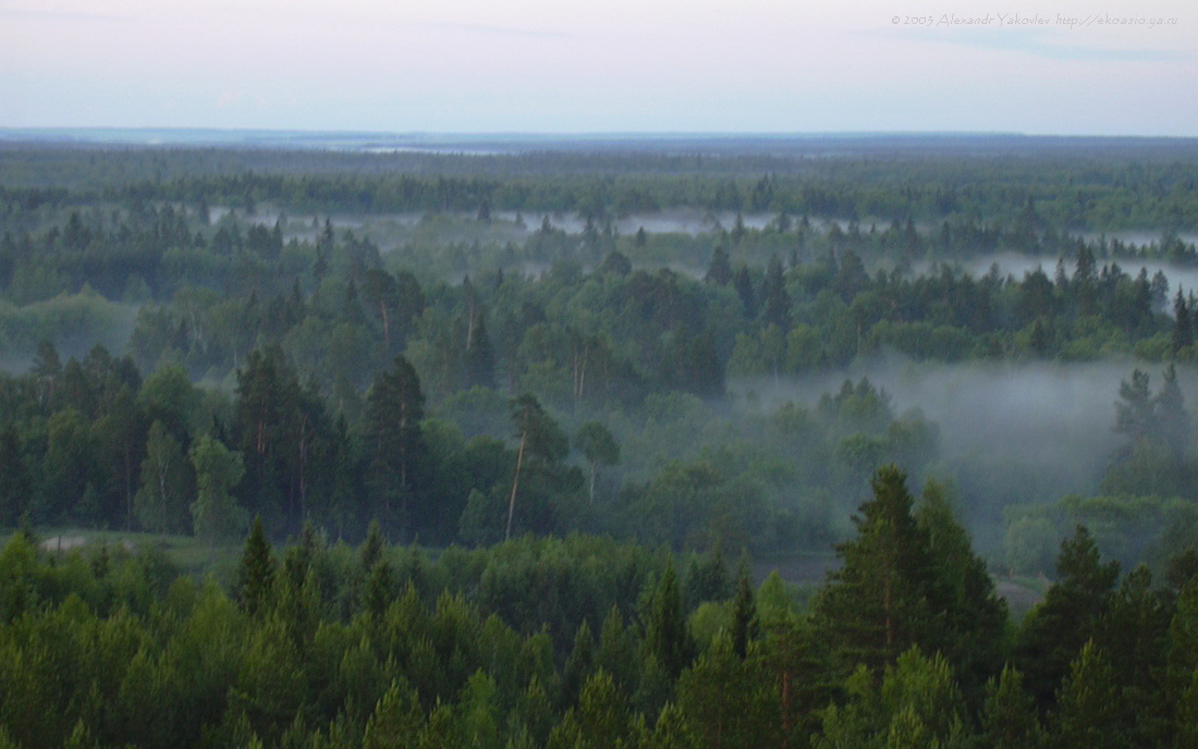 Чаваш Вармане, image of landscape/habitat.