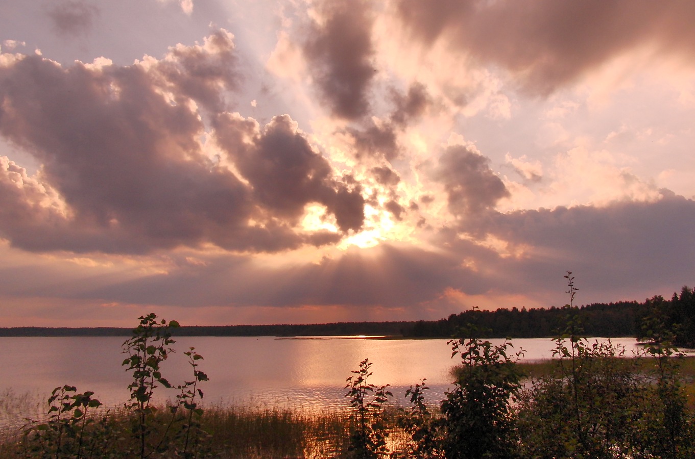 Кавголовское озеро, image of landscape/habitat.