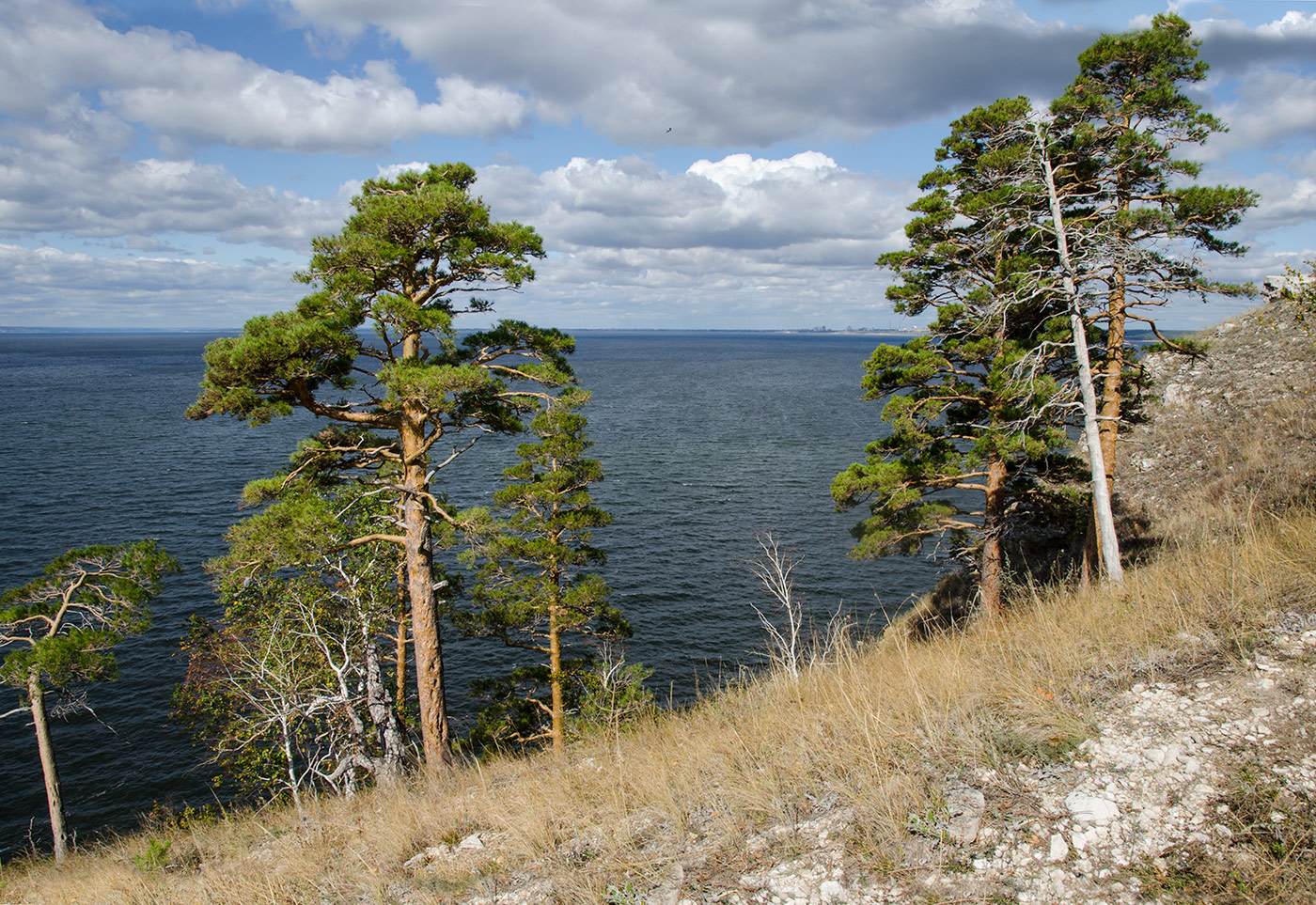 Молодецкий курган, image of landscape/habitat.