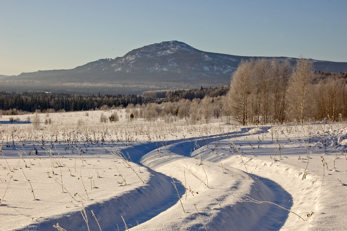 Окрестности хребта Ялангас, image of landscape/habitat.