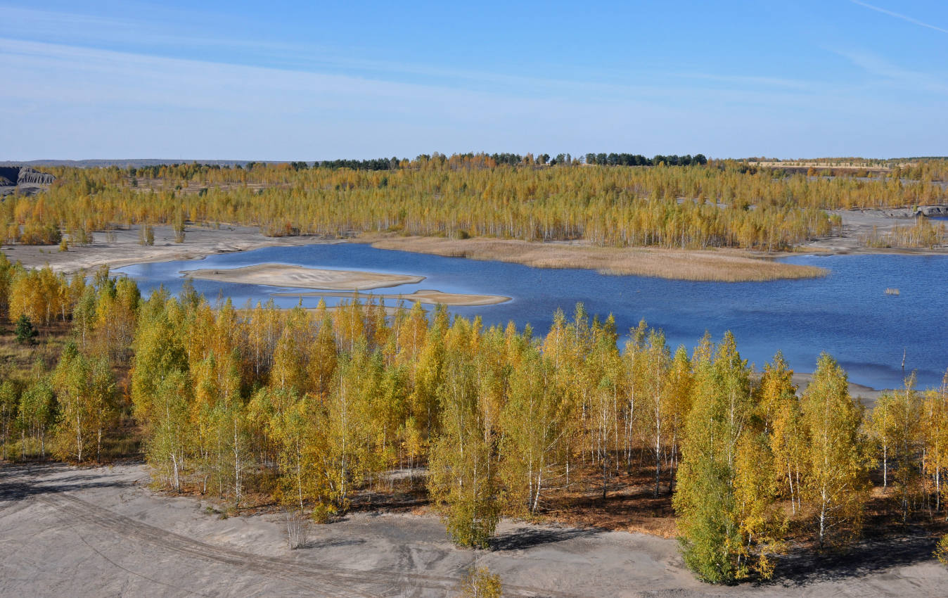 Окрестности села Люторичи, image of landscape/habitat.