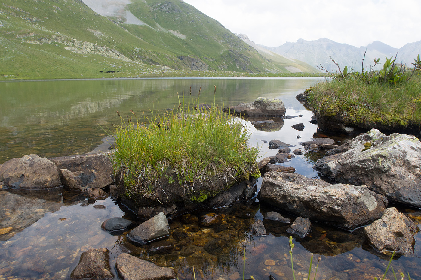 Ацгарские озёра, image of landscape/habitat.