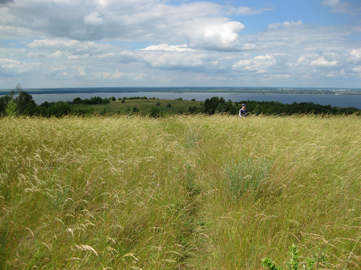 Трахтемиров, image of landscape/habitat.