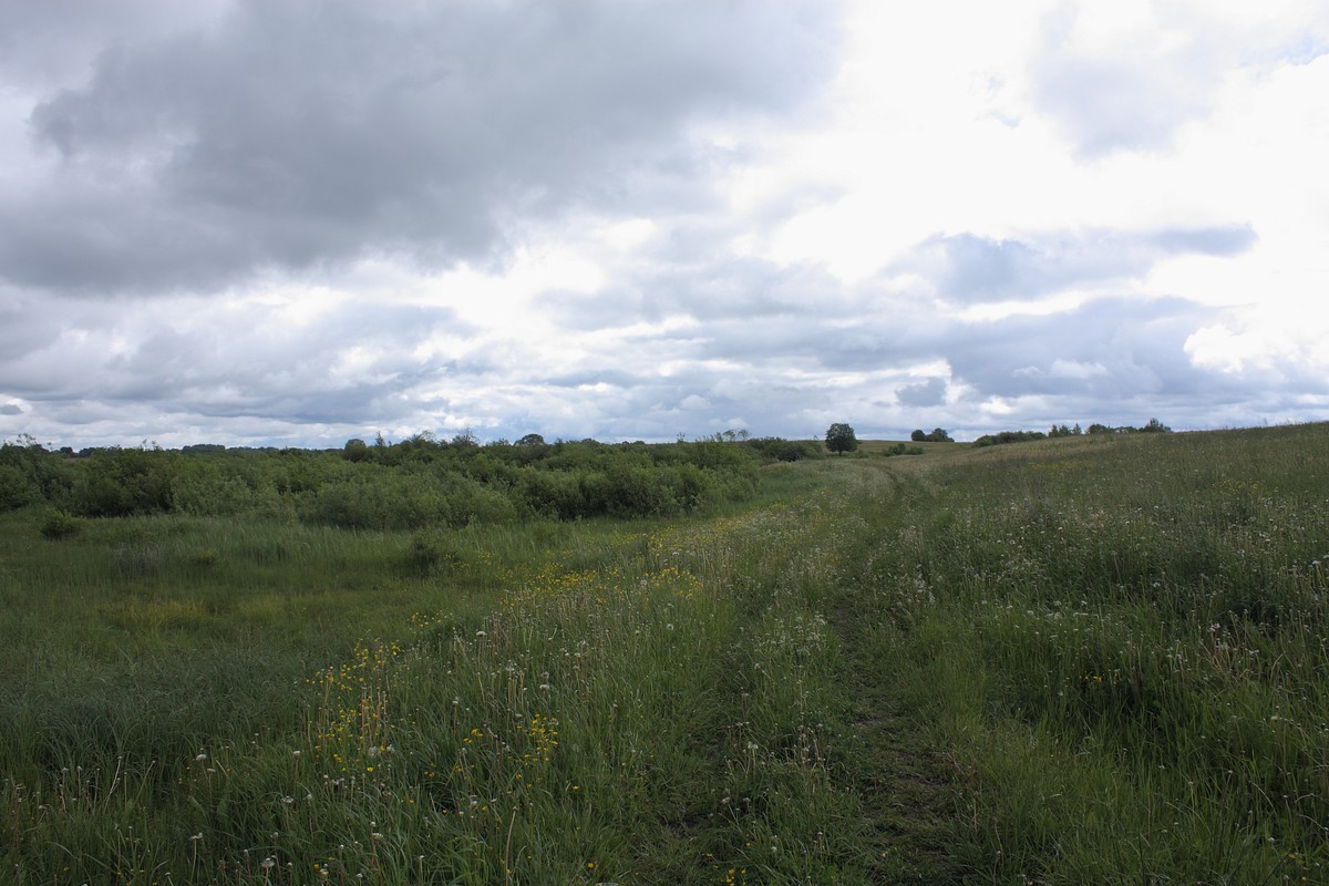 Езерище и окрестности, image of landscape/habitat.