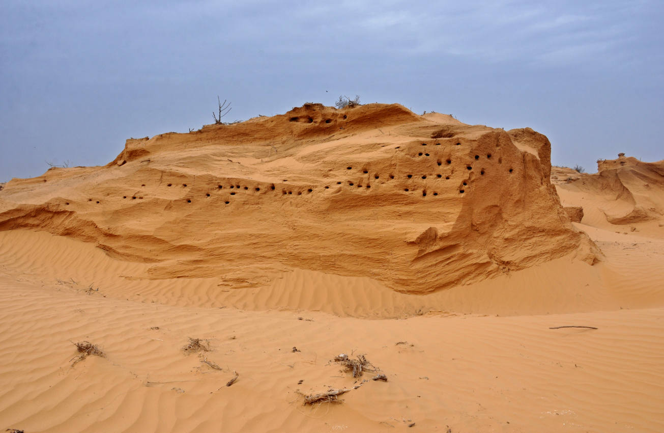 Окрестности посёлка Улан-Хол, image of landscape/habitat.