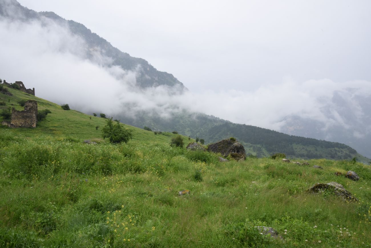 Нижний Кяхк и окрестности, image of landscape/habitat.