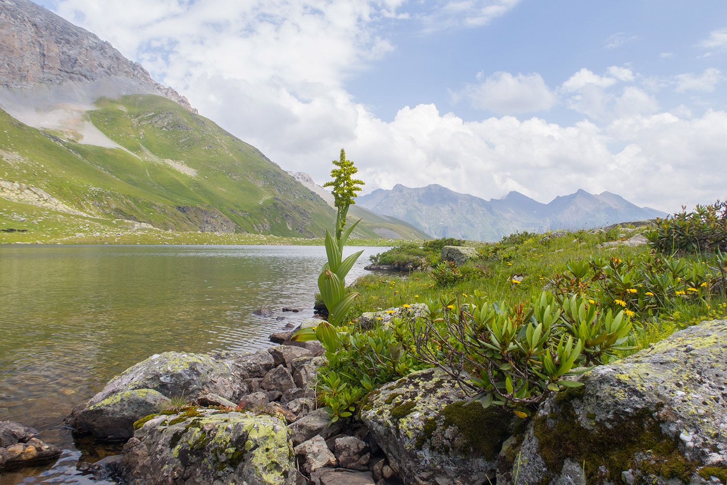 Ацгарские озёра, image of landscape/habitat.