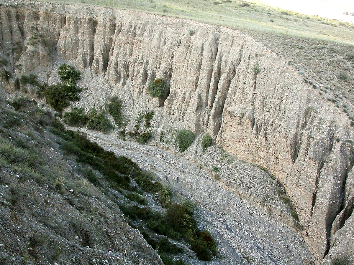 Верховья Шарына, image of landscape/habitat.