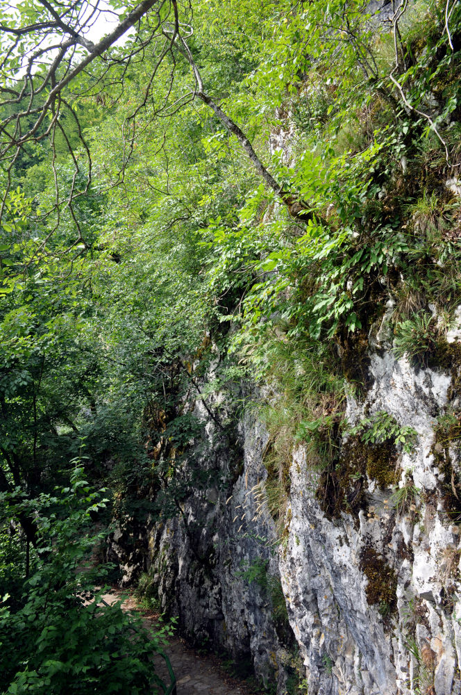 Окрестности пещеры Стопича, изображение ландшафта.