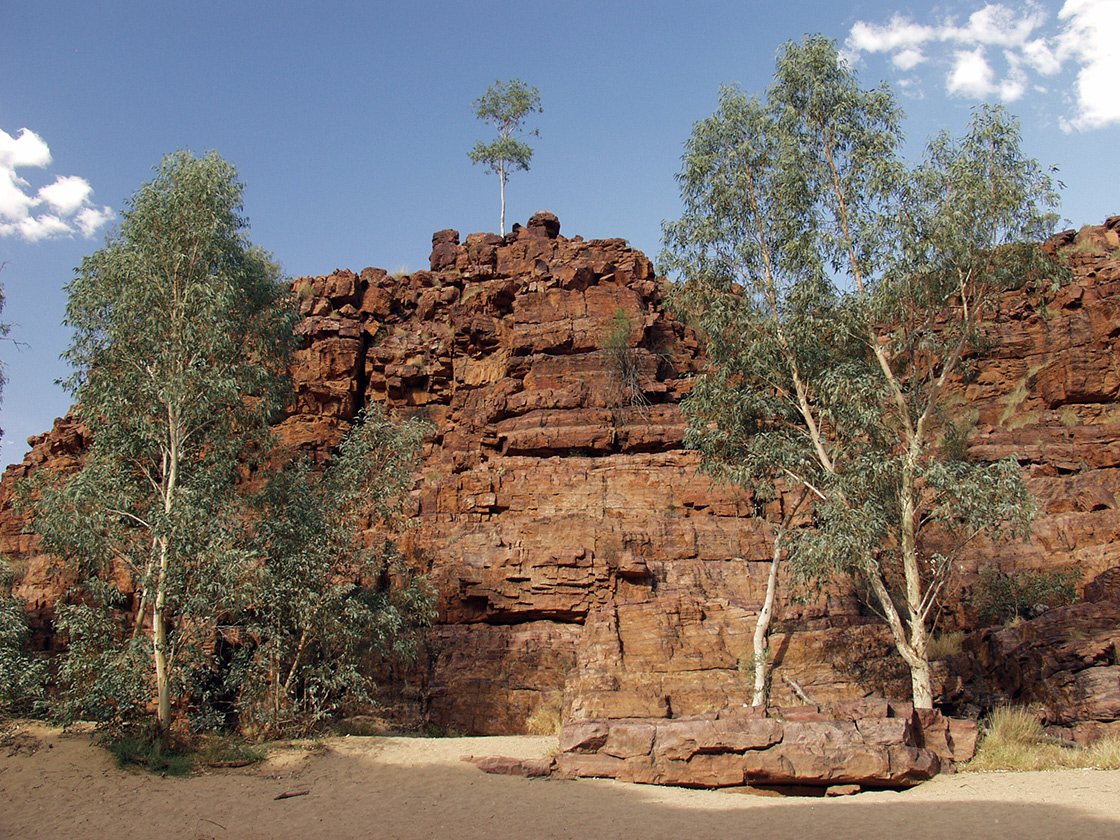 Trephina Gorge, image of landscape/habitat.