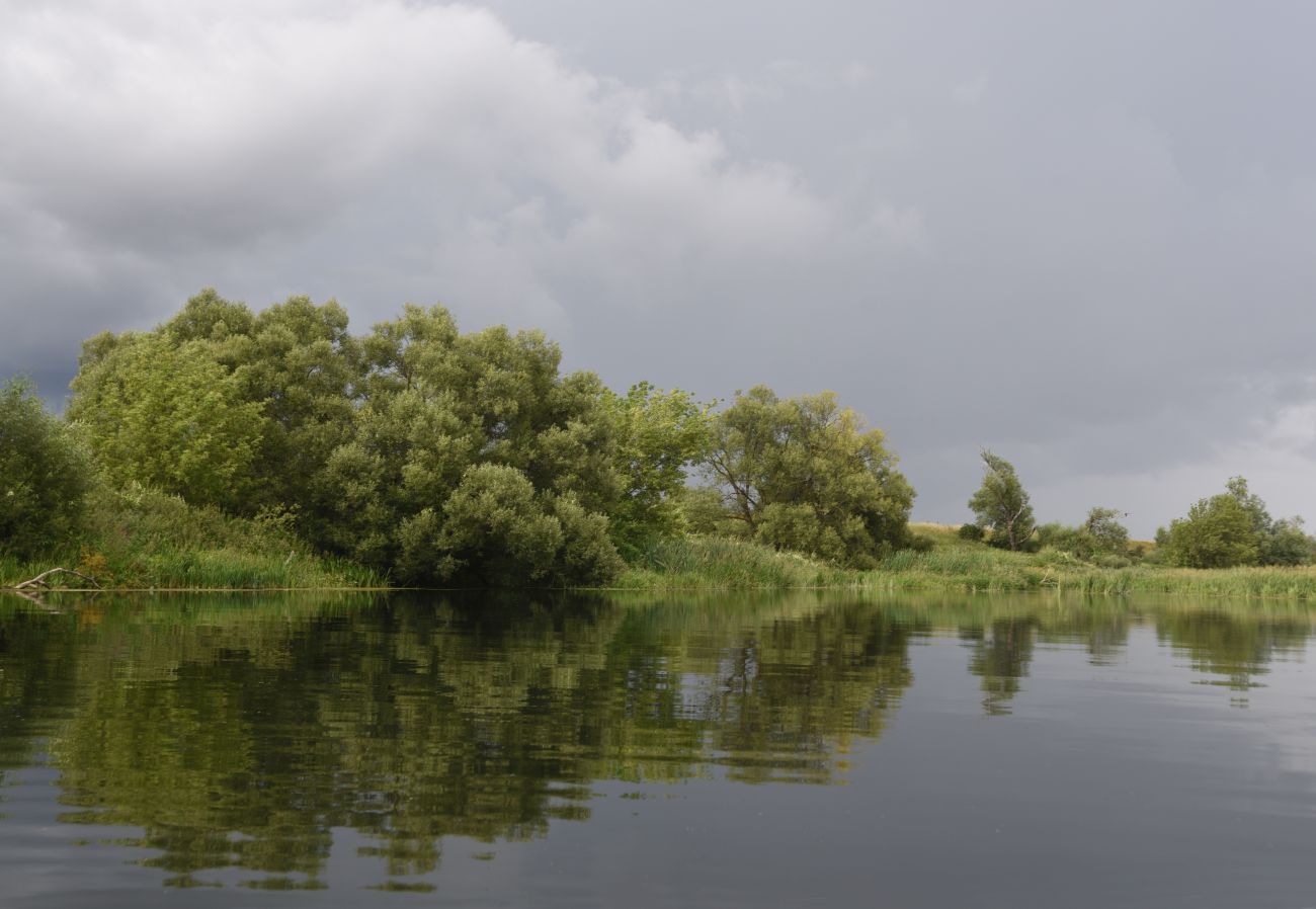 Чугунова Лощина, image of landscape/habitat.