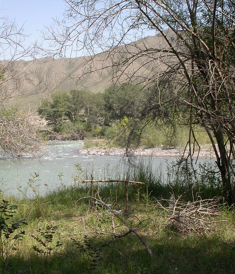 Верховья Шарына, image of landscape/habitat.