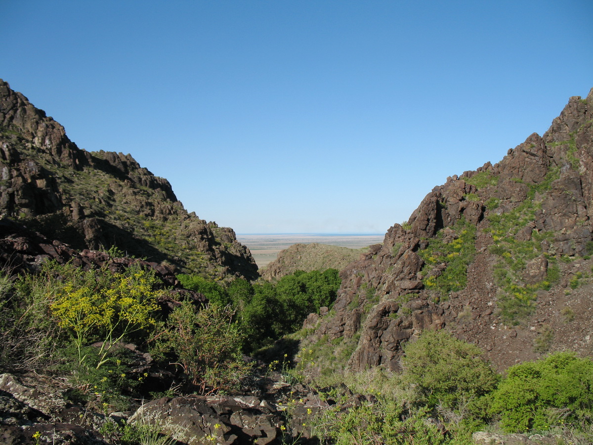 Ущелье Таскора, image of landscape/habitat.