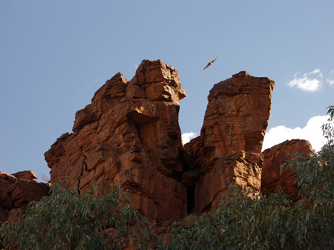 Trephina Gorge, image of landscape/habitat.