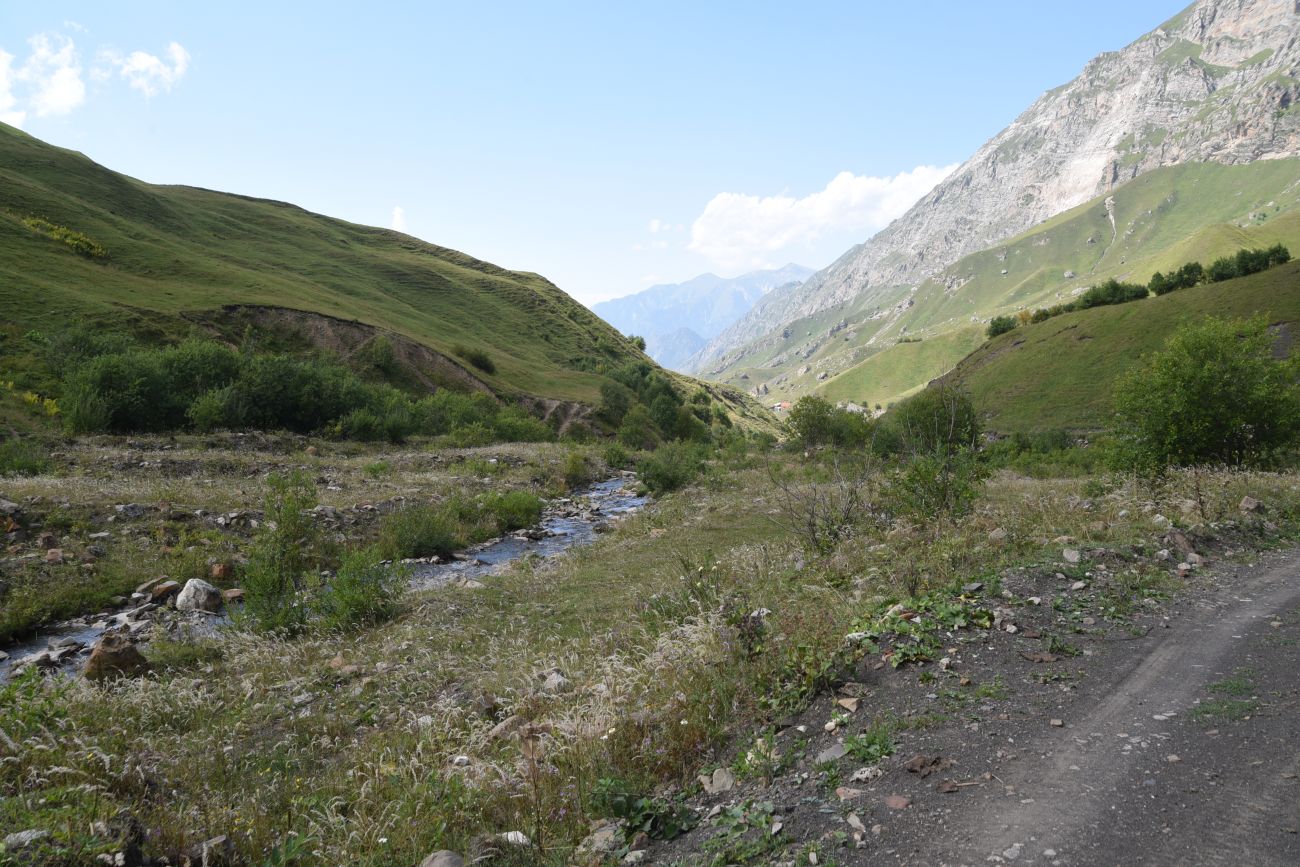 Урочище Хилиди, image of landscape/habitat.