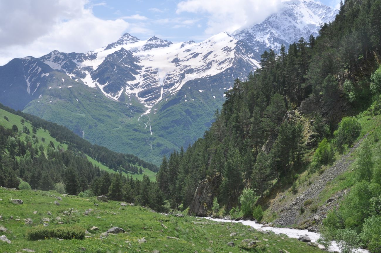 Гора Большой Когутай, image of landscape/habitat.