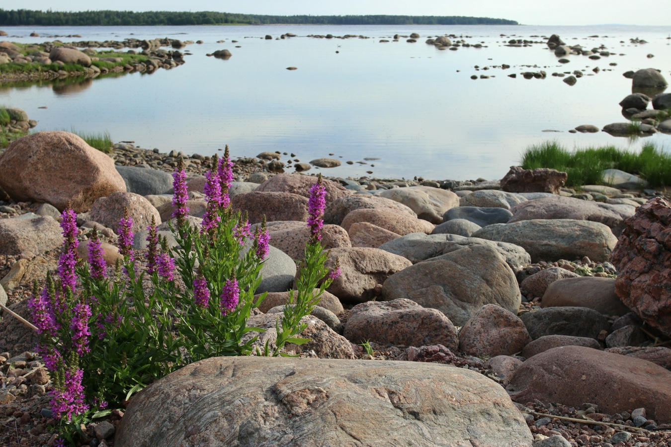 Каравалдай, image of landscape/habitat.