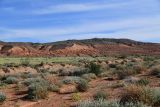 Image of landscape
