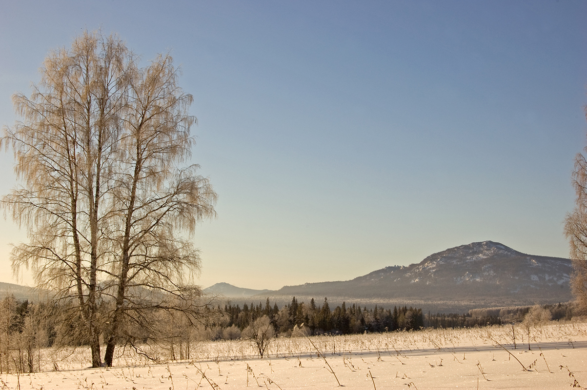 Окрестности хребта Ялангас, image of landscape/habitat.