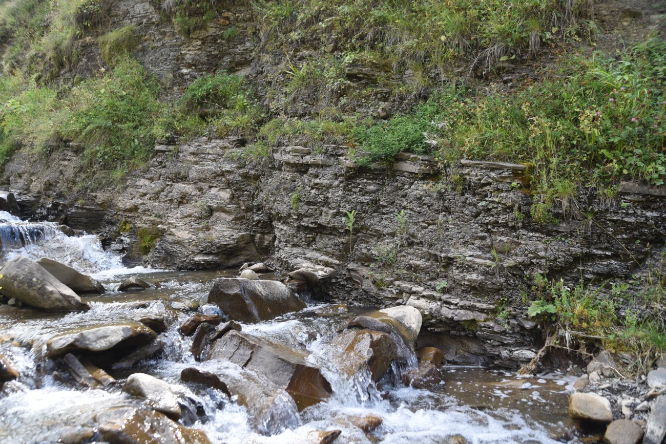 Урочище Хилиди, image of landscape/habitat.