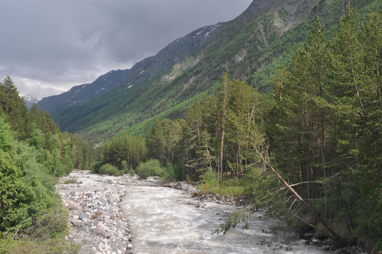 Долина реки Азау, image of landscape/habitat.