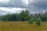 Image of landscape