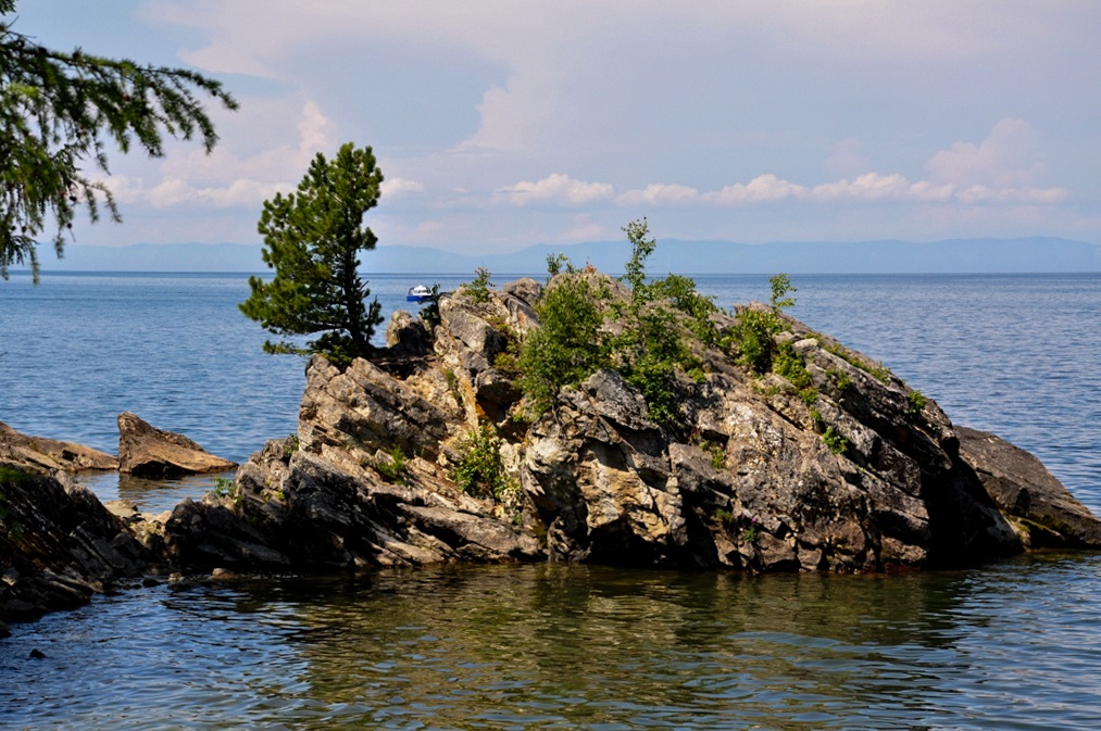 Турка, image of landscape/habitat.