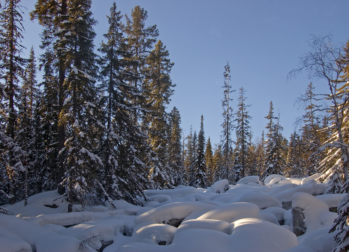 Окрестности хребта Ялангас, image of landscape/habitat.