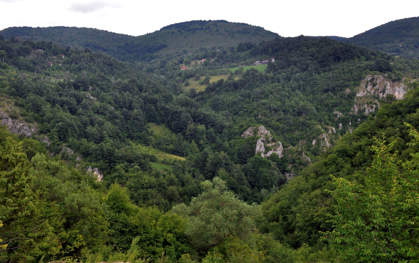 Ущелье реки Гостилье, image of landscape/habitat.