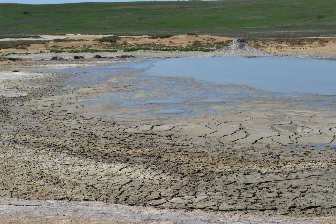 Окрестности села Бондаренково, image of landscape/habitat.