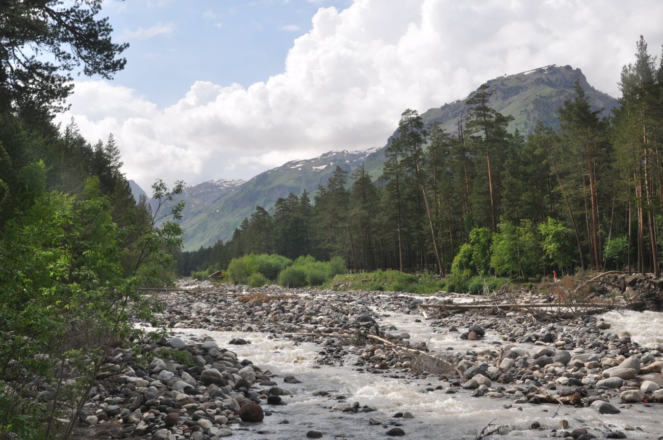 Долина реки Азау, image of landscape/habitat.