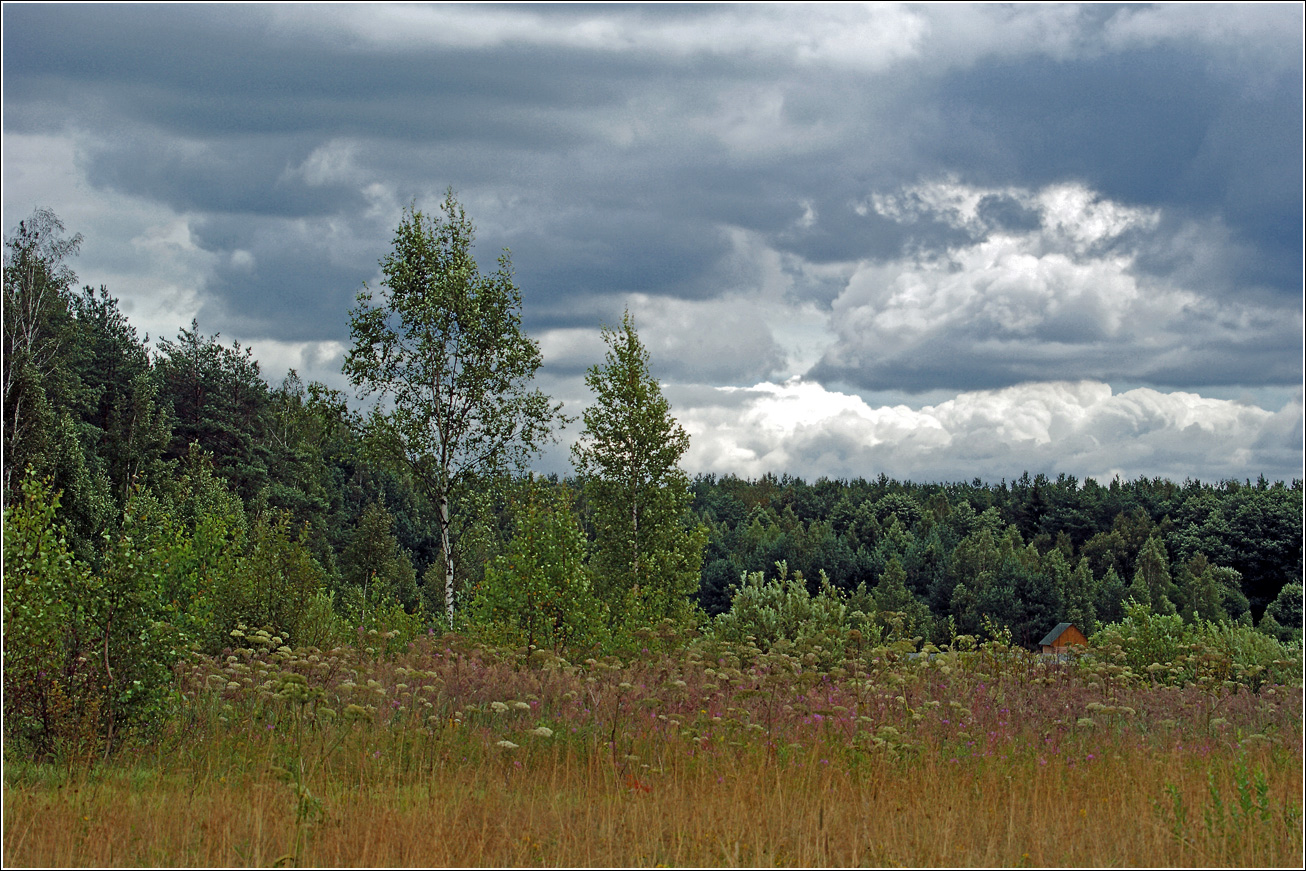 Окрестности Хрипани, image of landscape/habitat.