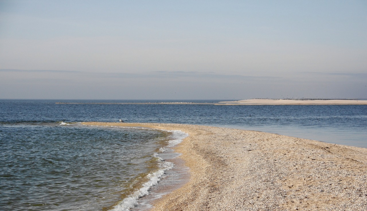 Должанка, image of landscape/habitat.