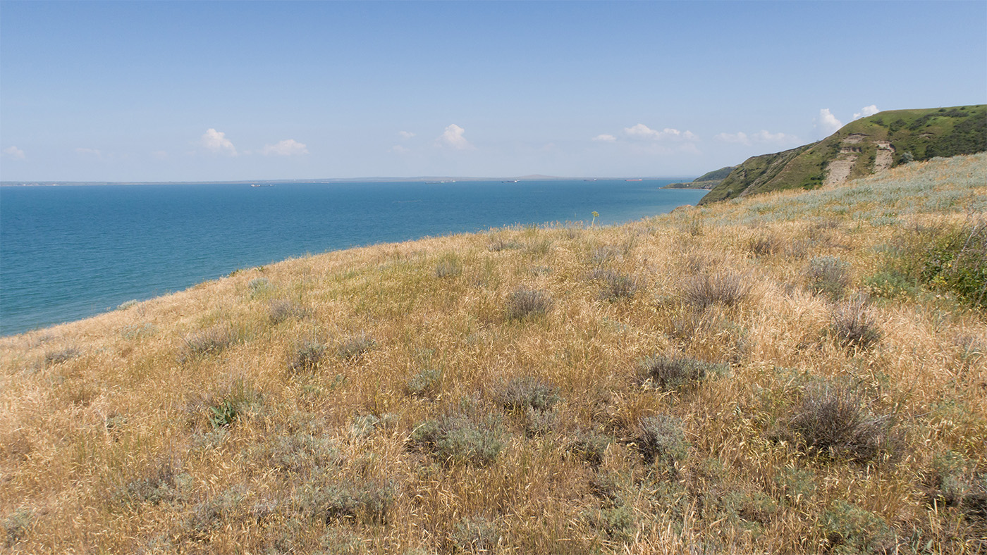 Урочище Широкая Балка, изображение ландшафта.