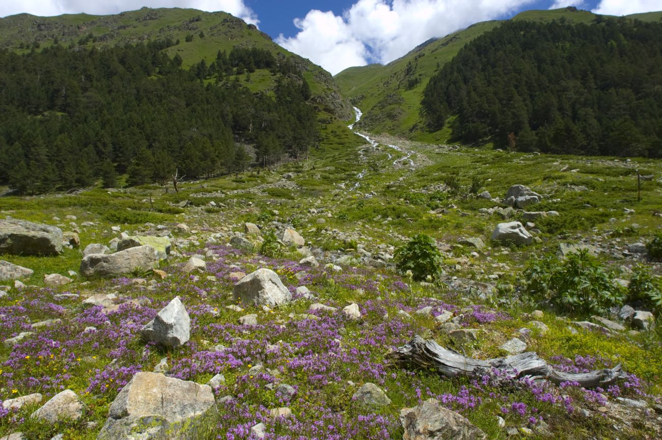 Долина реки Ирик, image of landscape/habitat.