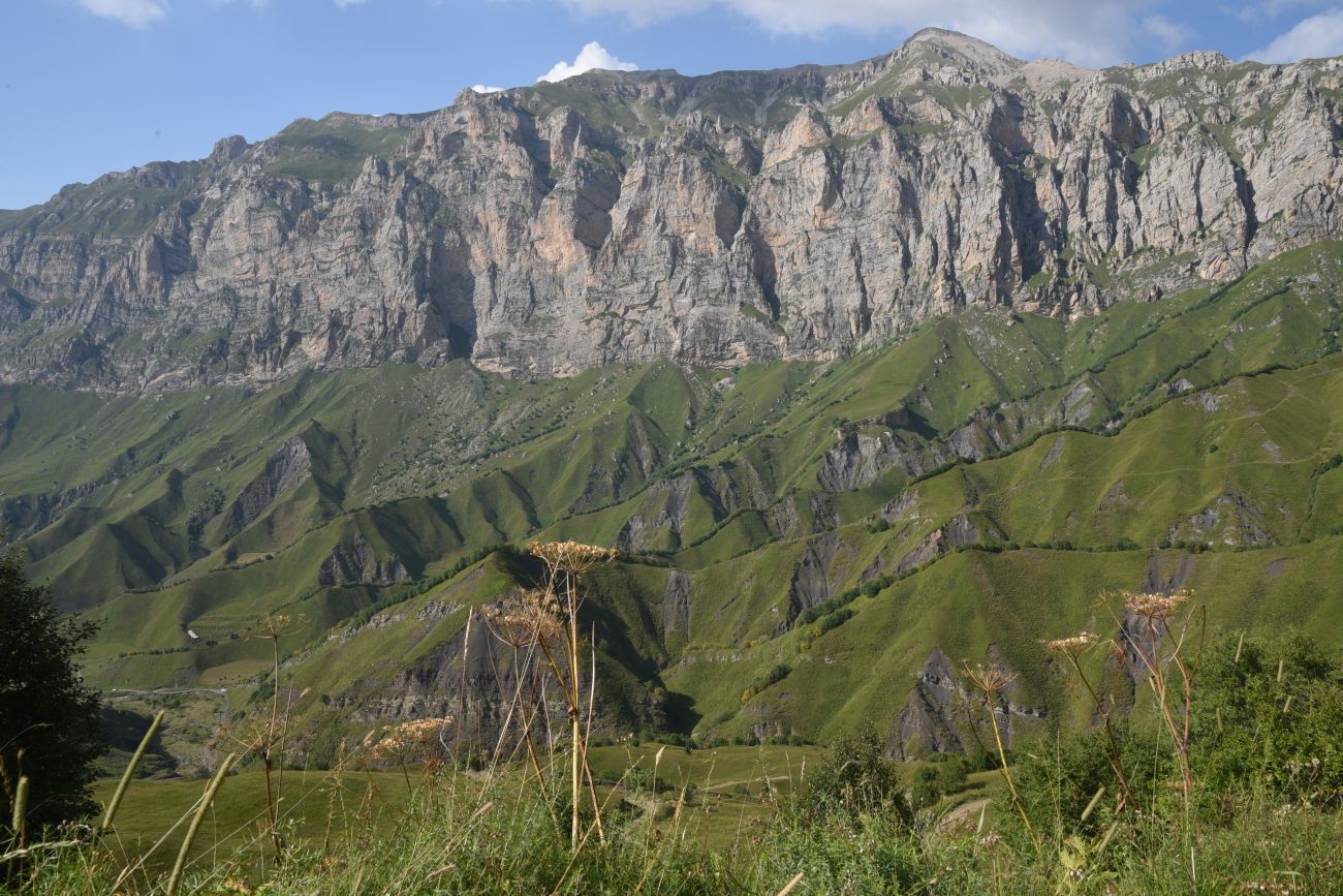 Гора Годобери, image of landscape/habitat.