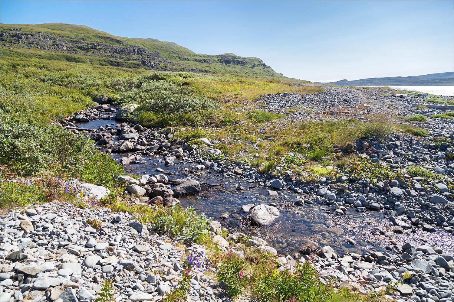 Большая Волоковая губа, image of landscape/habitat.