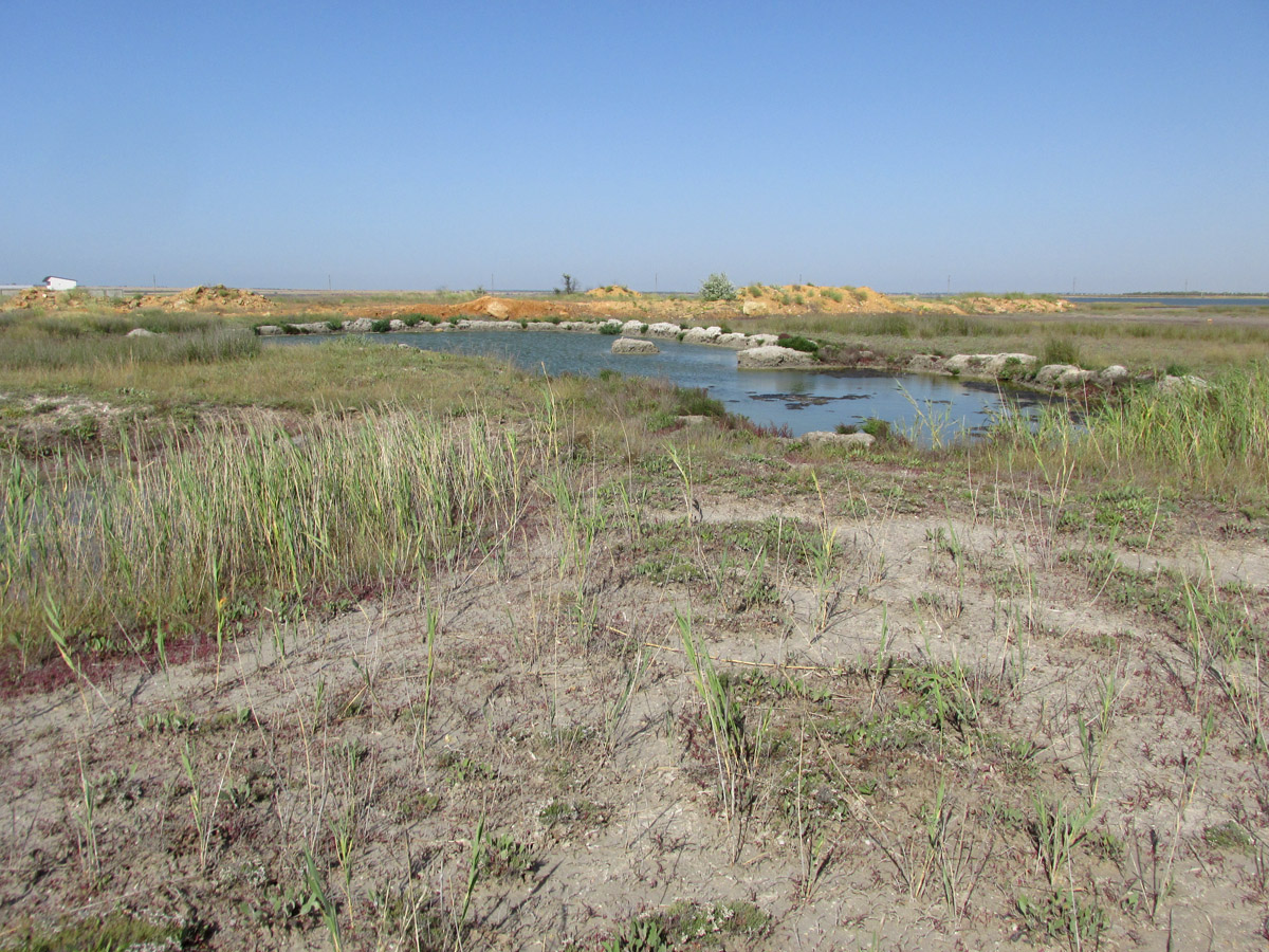 Межводное, image of landscape/habitat.