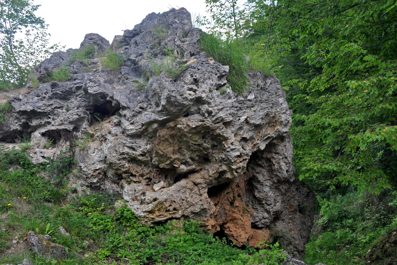 Ущелье реки Гостилье, изображение ландшафта.