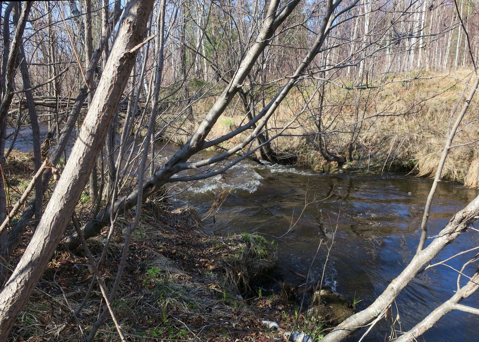 Омулёвый, image of landscape/habitat.