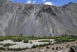 Мургаб (ниже Сареза), image of landscape/habitat.