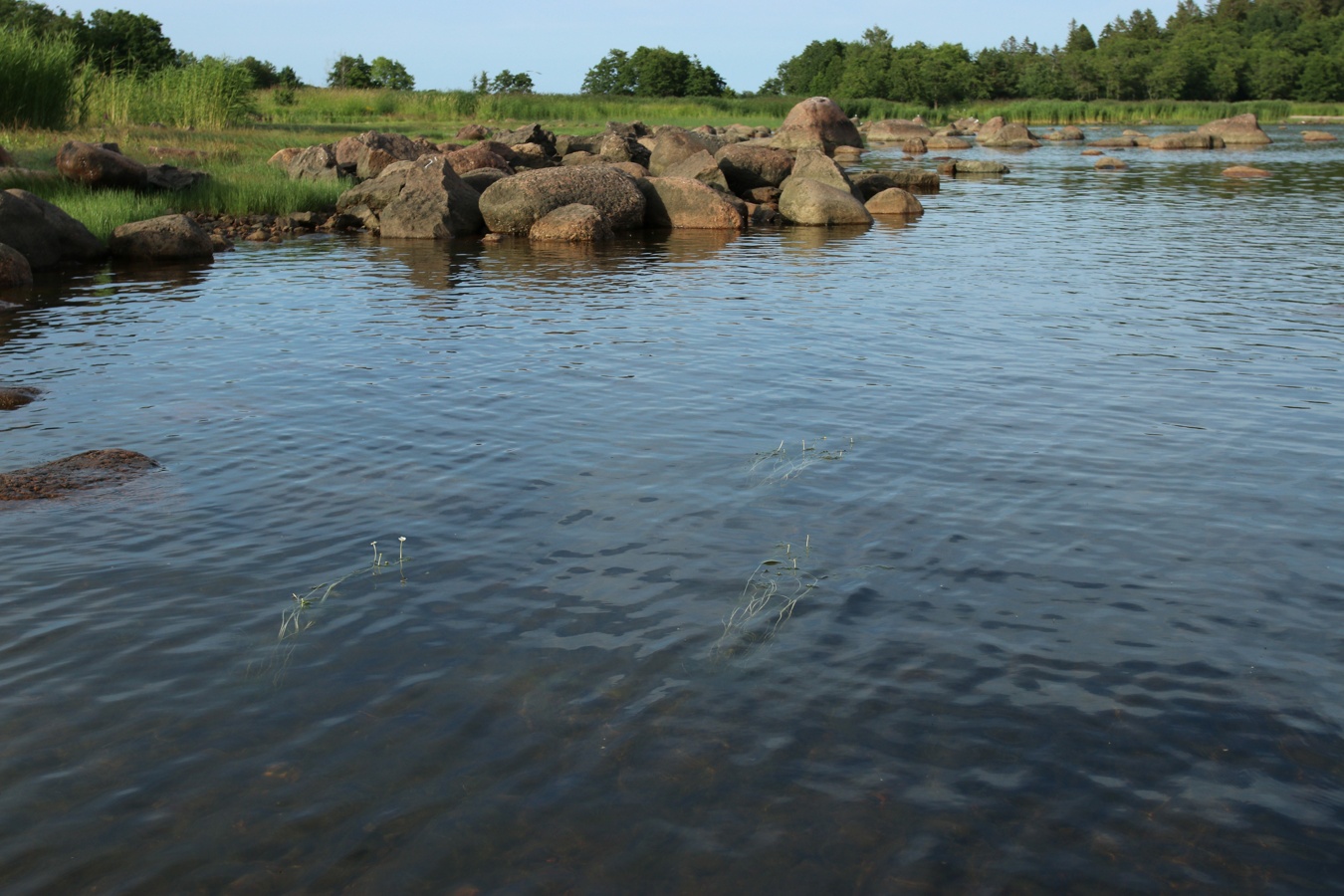 Каравалдай, image of landscape/habitat.