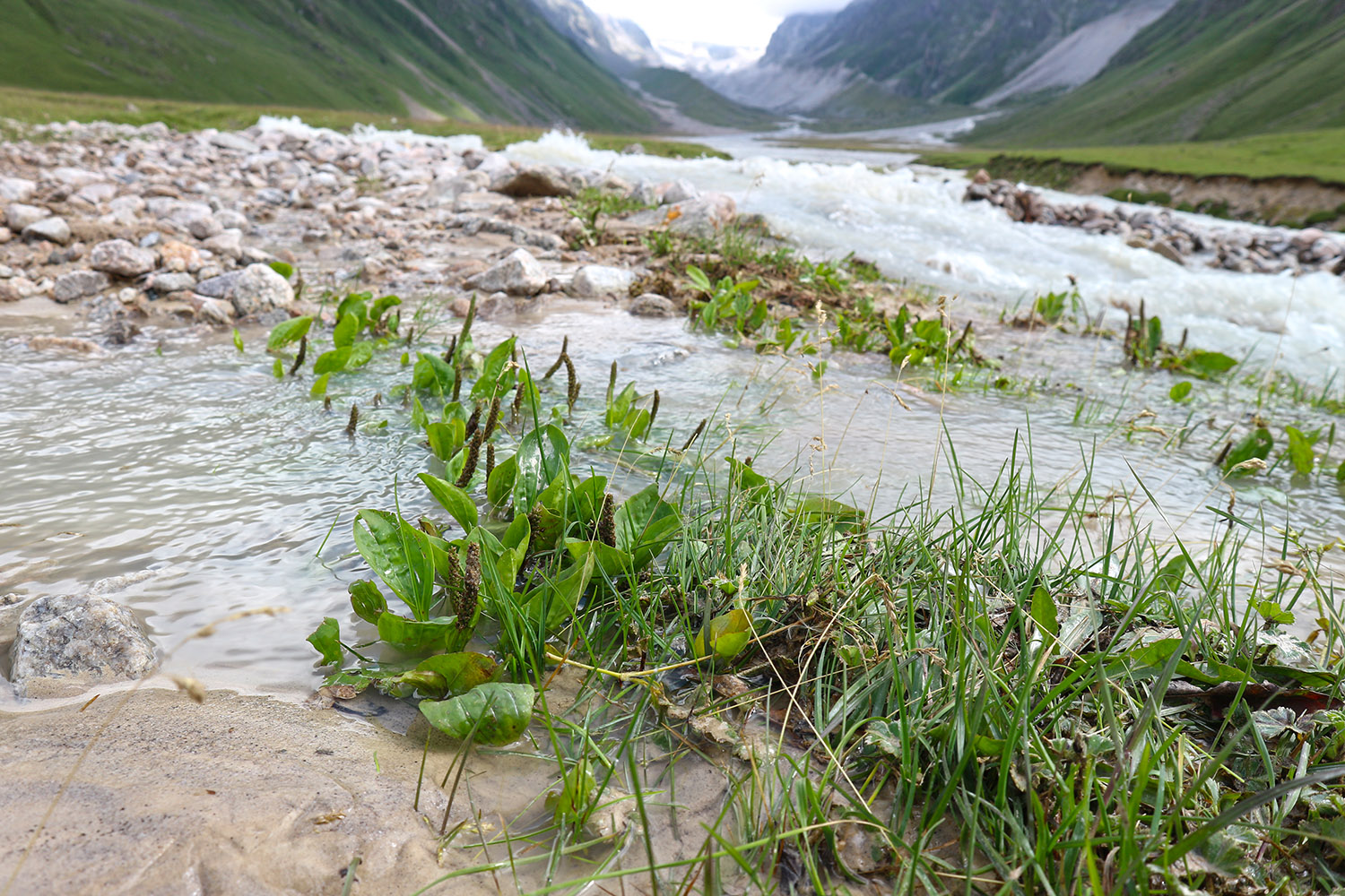 Туяла Западная, image of landscape/habitat.