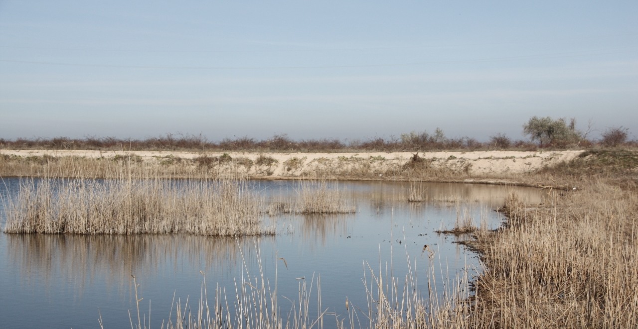 Должанка, image of landscape/habitat.