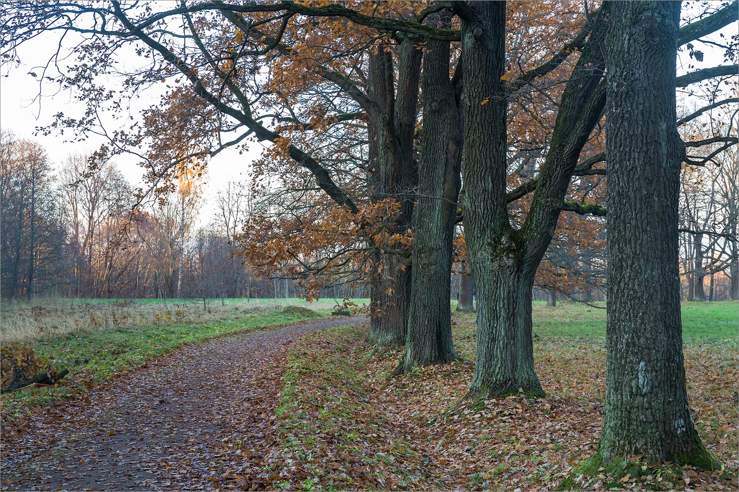 Ораниенбаум, image of landscape/habitat.