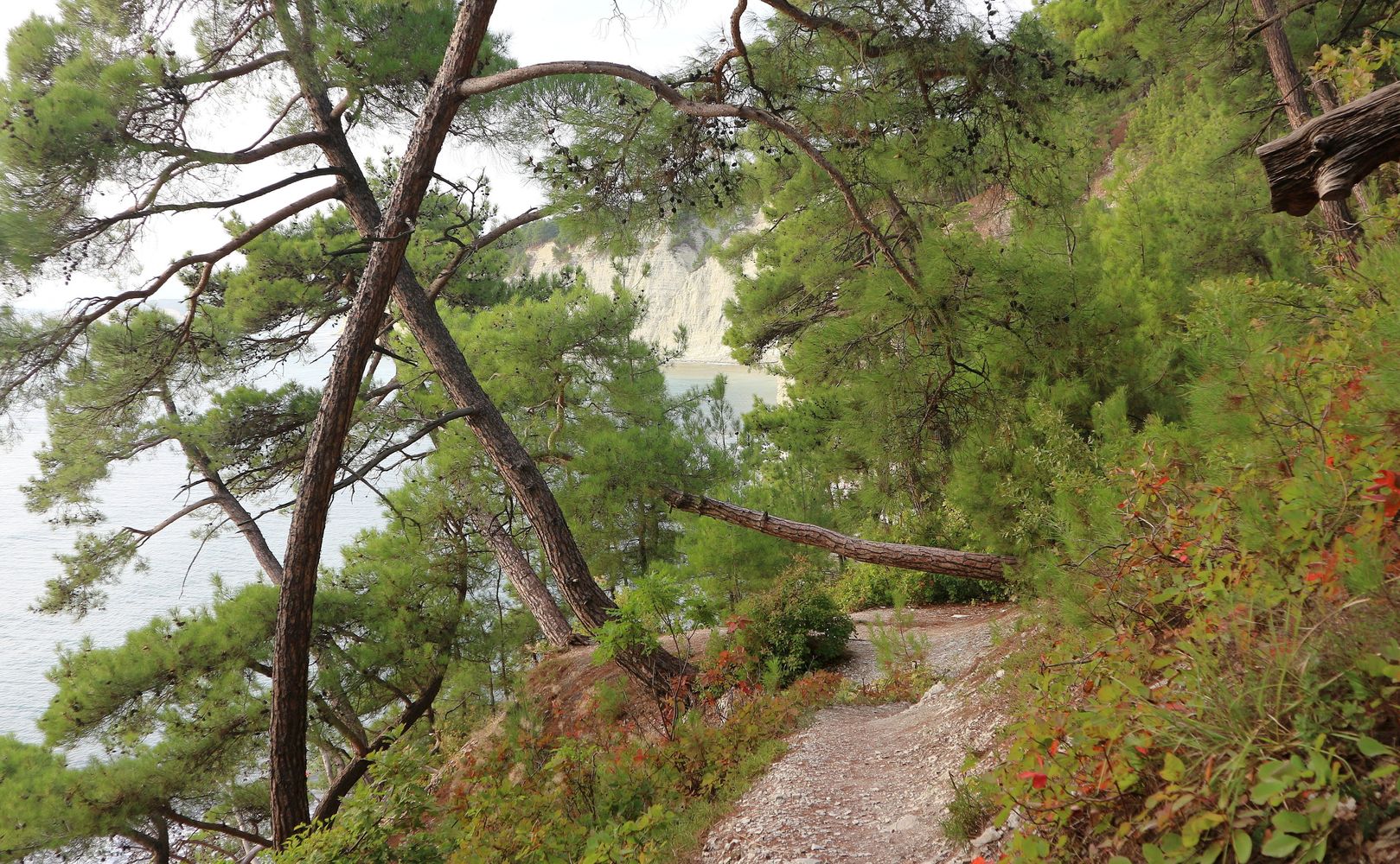 Голубая Бездна, image of landscape/habitat.