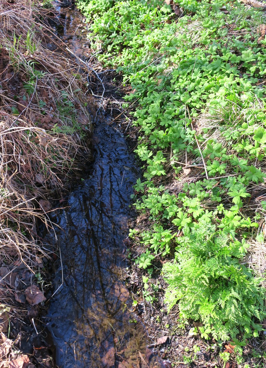 Омулёвый, image of landscape/habitat.