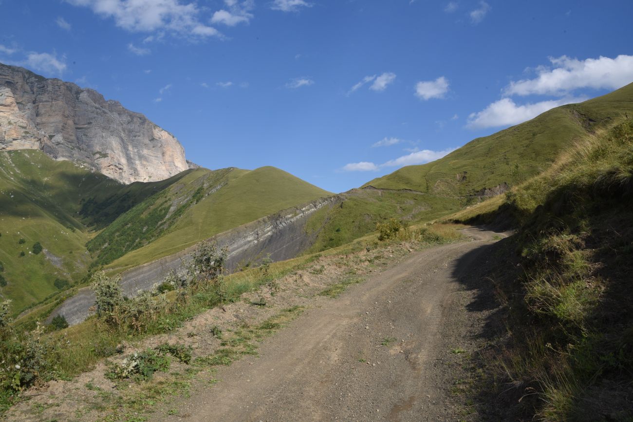 Цумандинский перевал, image of landscape/habitat.