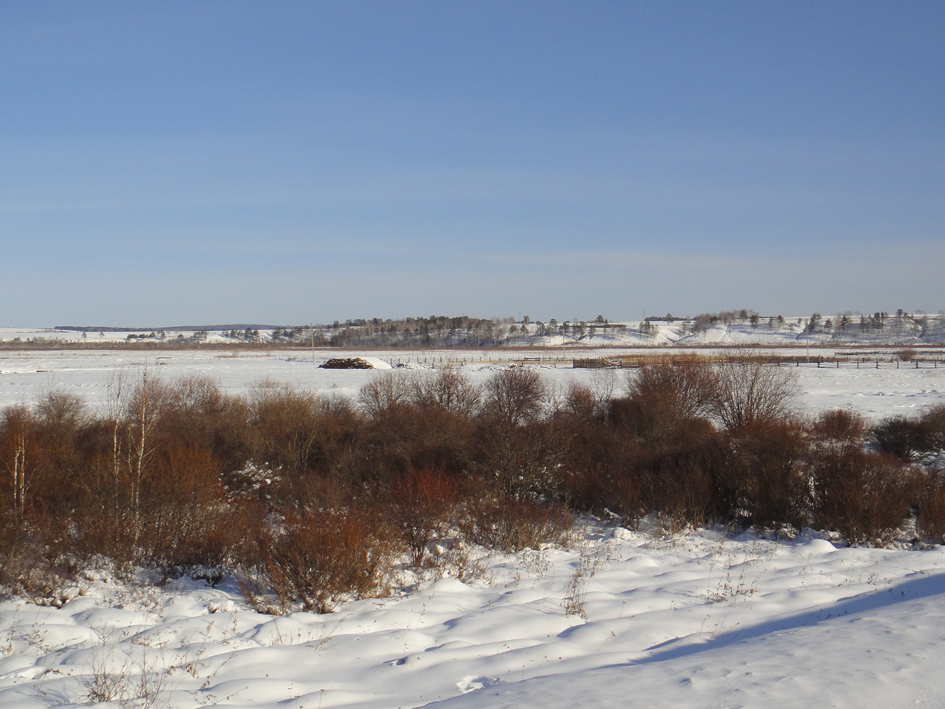 Позднякова, image of landscape/habitat.