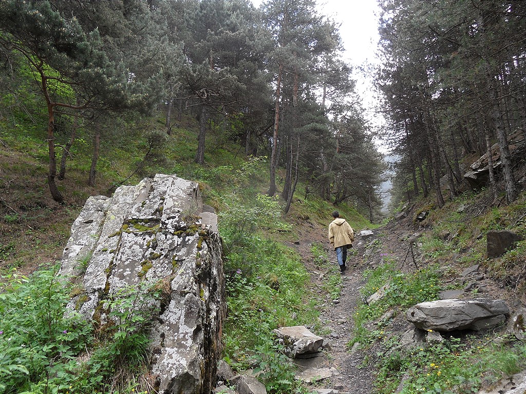 Окрестности села Хрюг, image of landscape/habitat.